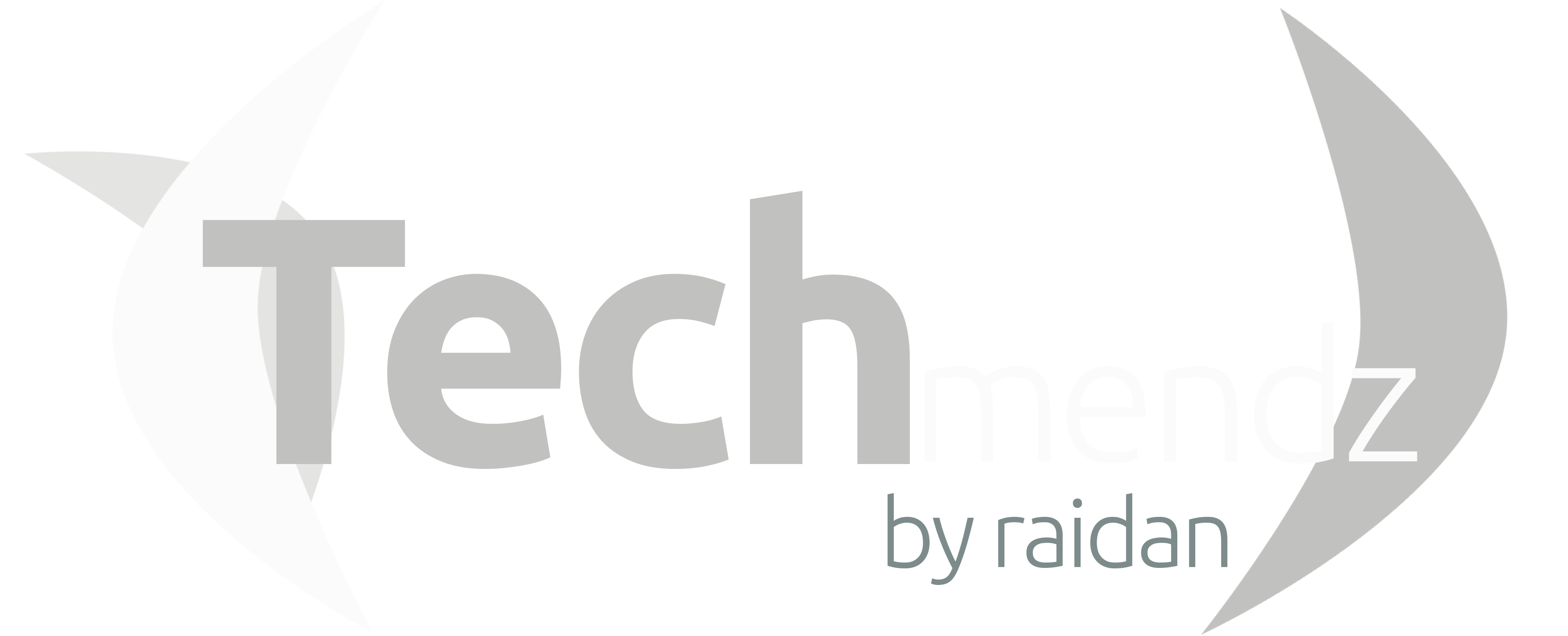 Techmendz | Raidan